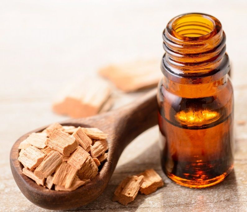 Sandalwood Oil 10ml – Tribe Earth Incense