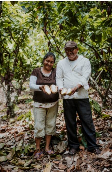 Fair Trade Ceremonial Cacao Paste